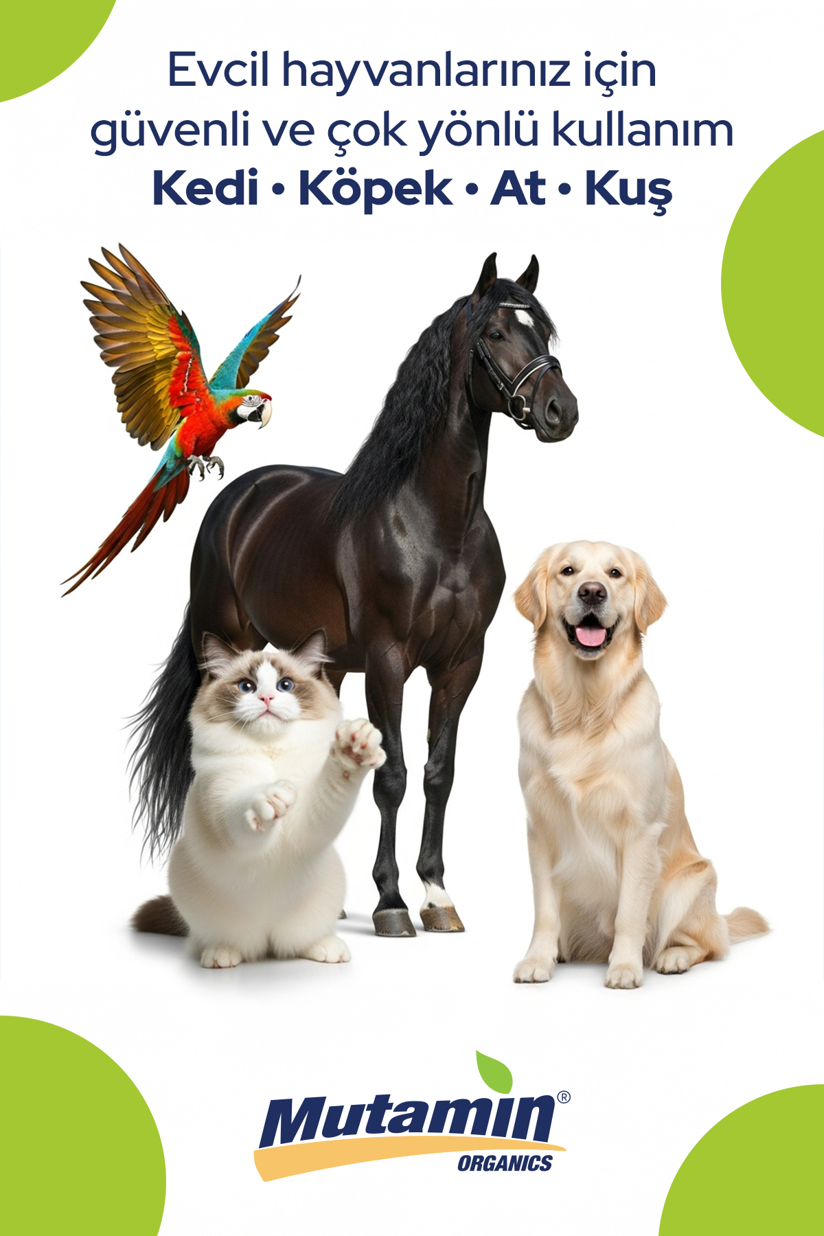 Norveç Somon Yağı 150 ml