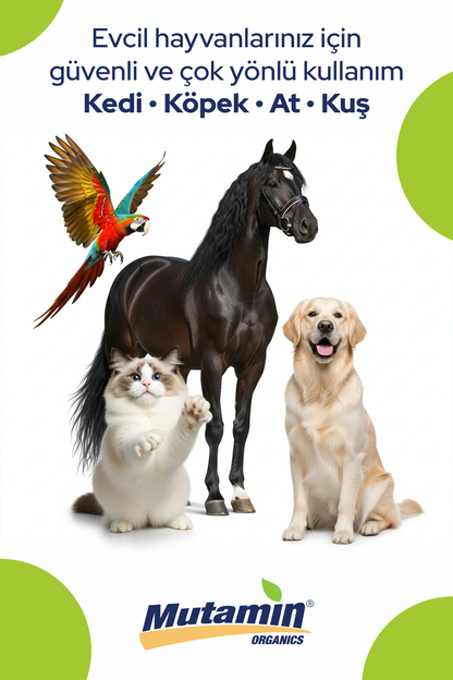 Norveç Somon Yağı 150 ml