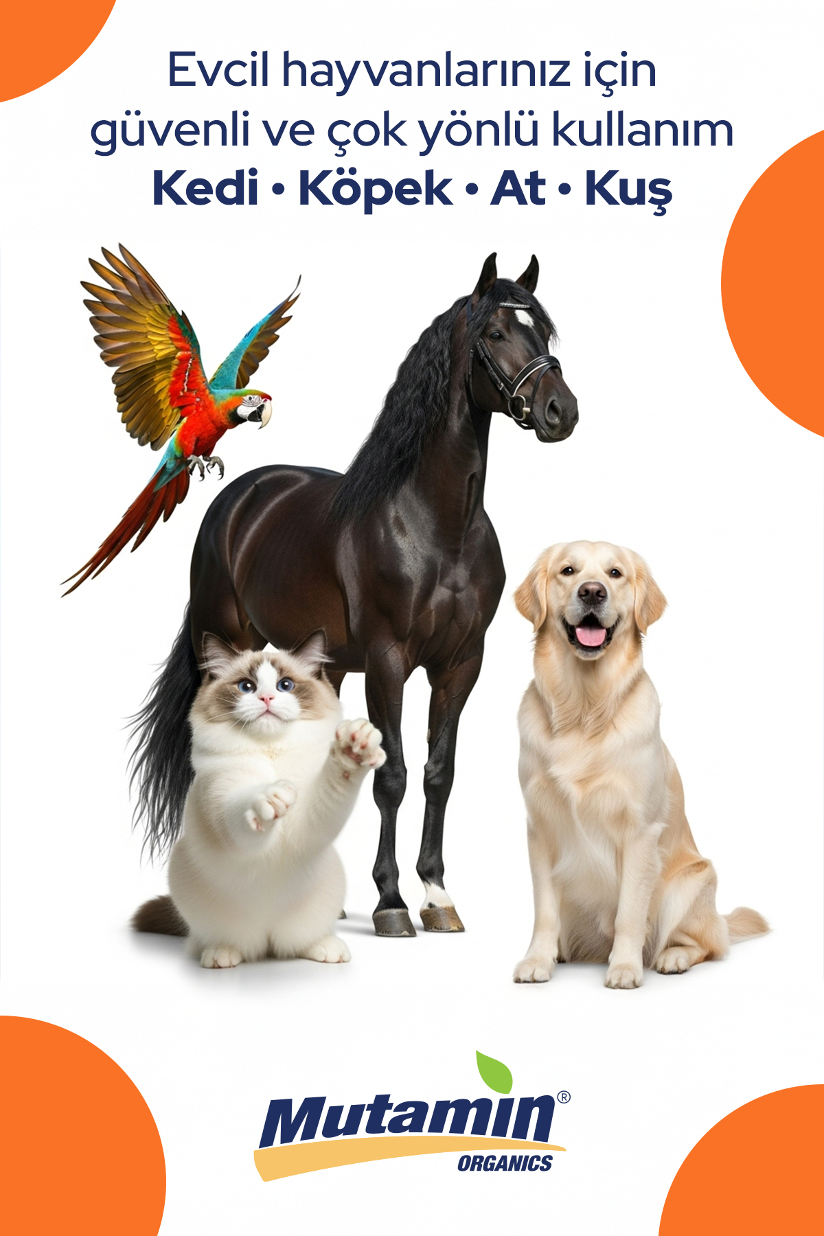 Norveç Somon Yağı 250 ml