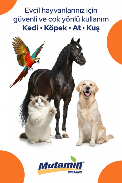 Norveç Somon Yağı 250 ml