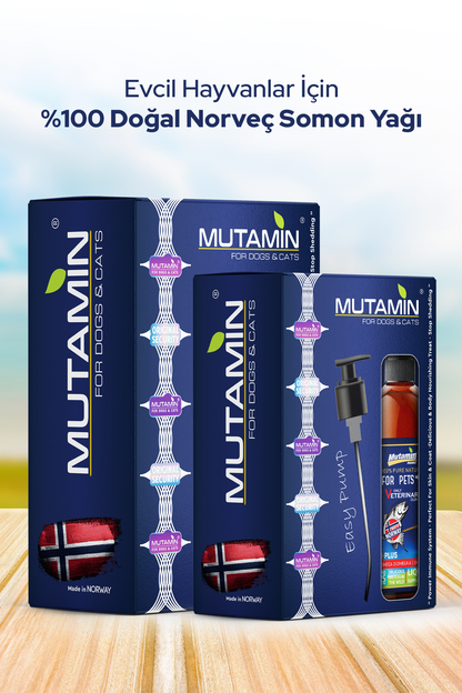 Norveç Somon Balık Yağı 400 Ml